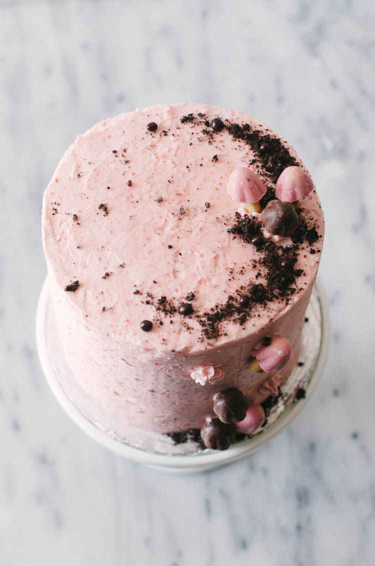 Chocolate cake, strawberry frosting, and candy mushrooms