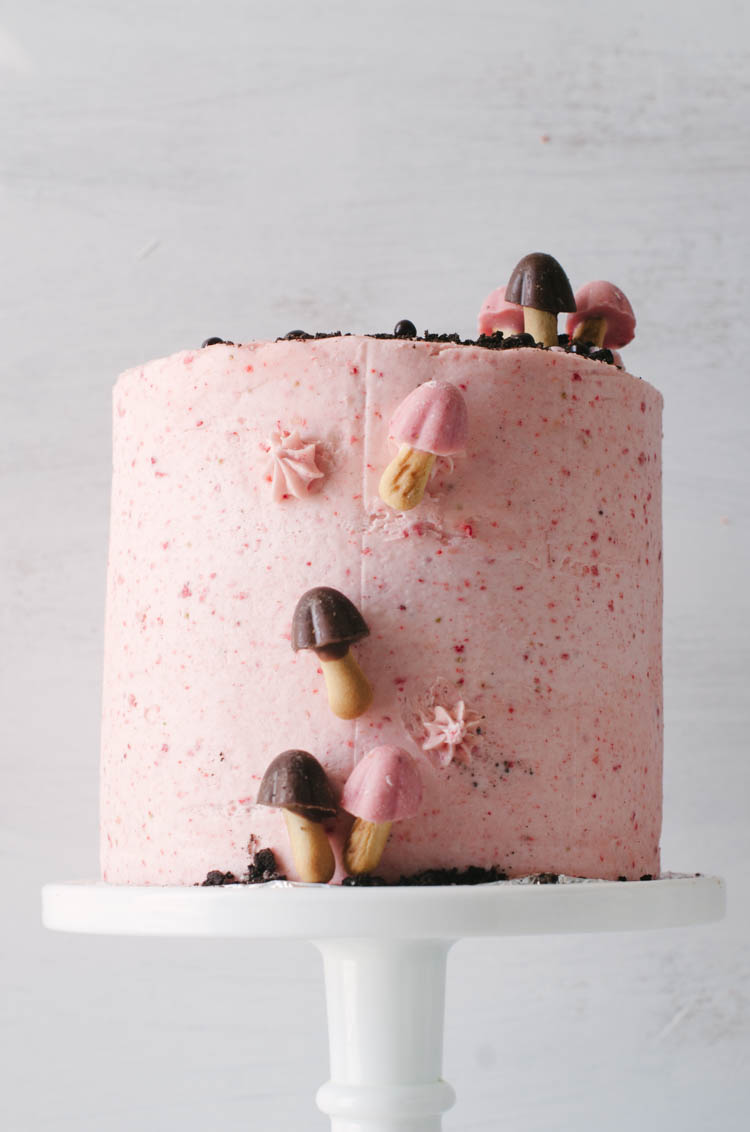 Chocolate cake, strawberry frosting, and candy mushrooms