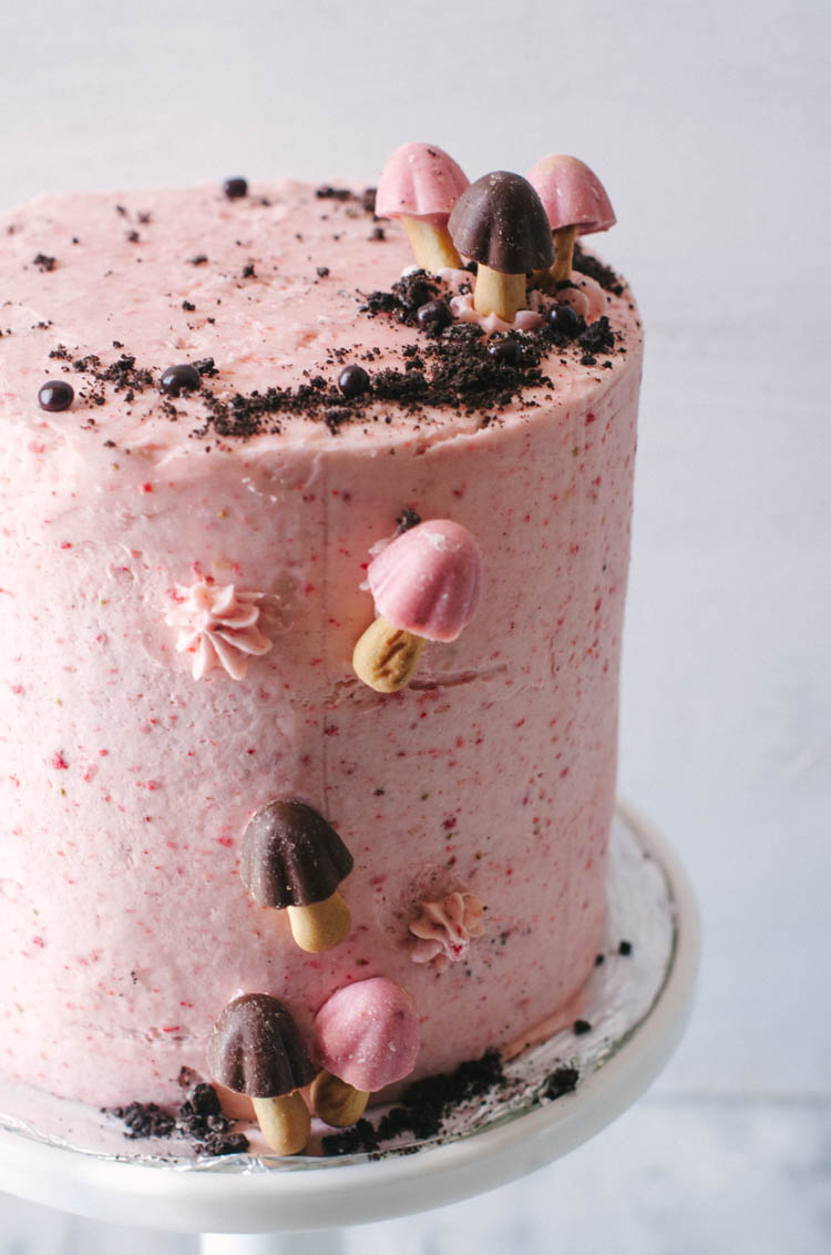 Chocolate cake, strawberry frosting, and candy mushrooms